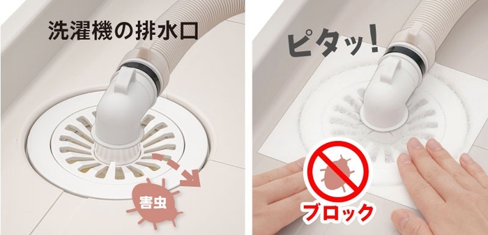 洗濯機の排水口