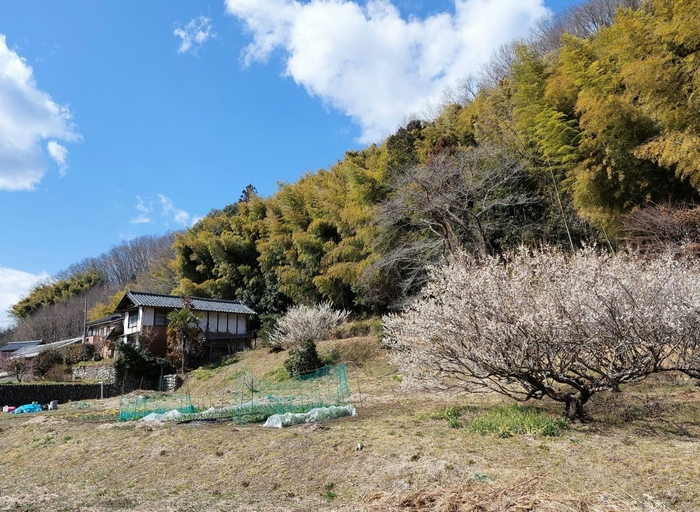 コミュニティカフェの全景