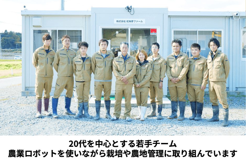 20代中心の若手チーム