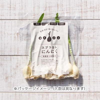 障がい者施設による、発芽にんにくの栽培＆販売を 11月1日よりスタート　～アクアポニックスによる スプラウトにんにくを低価格販売～