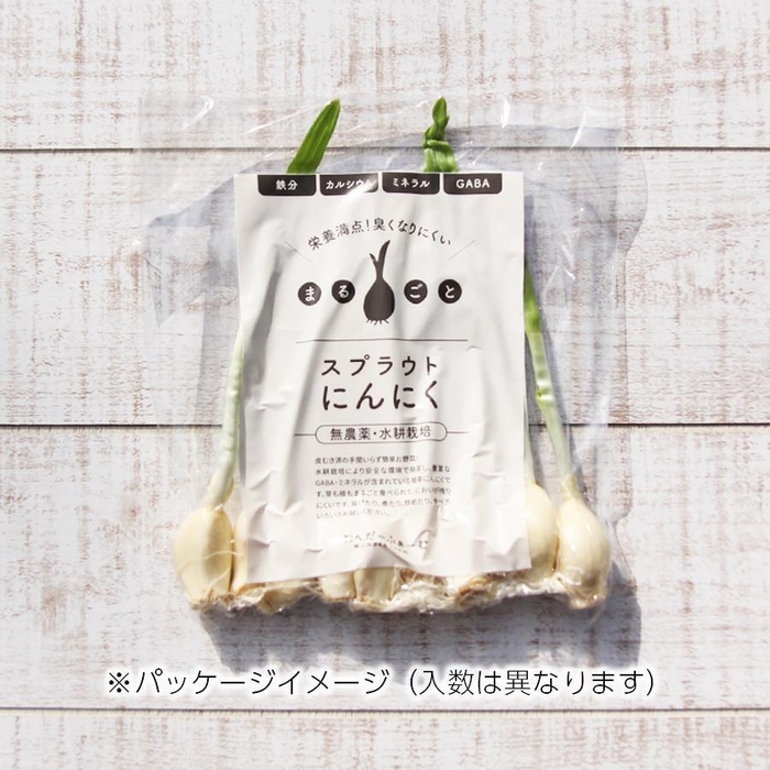 スプラウトにんにく 5本入り