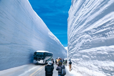 メインイベント：雪の大谷ウォーク