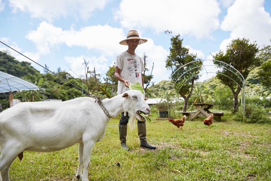 自社農場サンシャインファーム