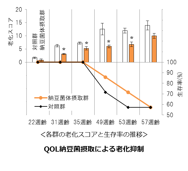 QOL納豆菌_図