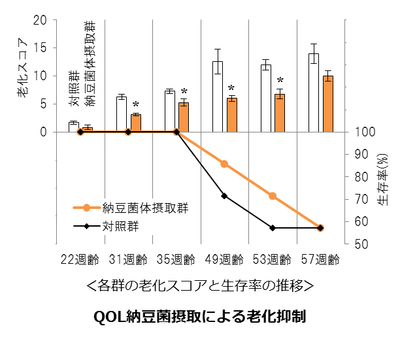 QOL納豆菌_図
