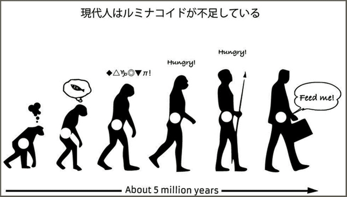 500万年の歴史