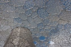 自然体感展望台 六甲枝垂れ(樹氷の様子)