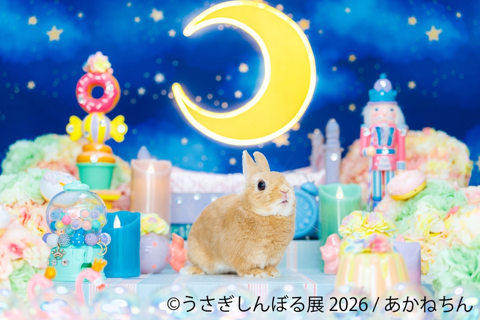 展示作品:あかねちん