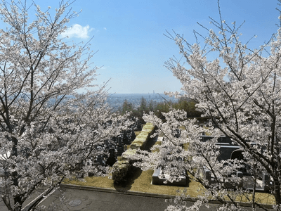 マイ古墳(家族古墳墓)から大阪平野が一望できます