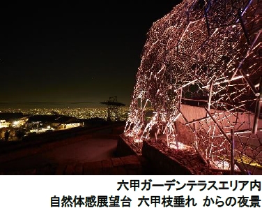 自然体感展望台 六甲枝垂れ からの夜景