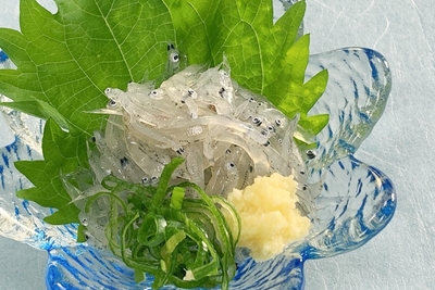 遠州灘産の生しらす
