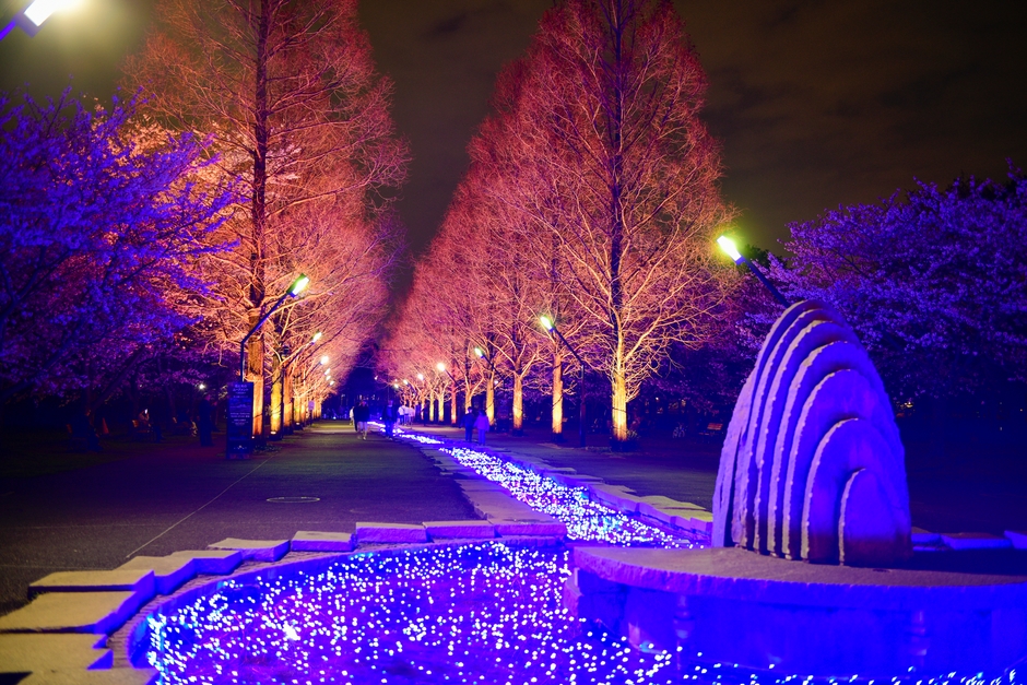 公園入口ライトアップの様子（4月4日テスト点灯時撮影）