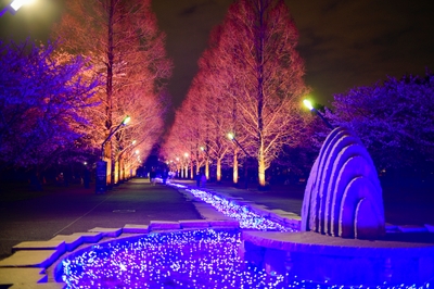 公園入口ライトアップの様子(4月4日テスト点灯時撮影)