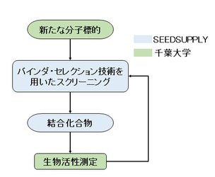 新たな分子標的をターゲットにした上皮がん治療薬の探索研究 「産学連携による新たな初期創薬プロセスモデルの構築」