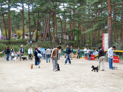 8/1~2の愛犬のしつけ教室