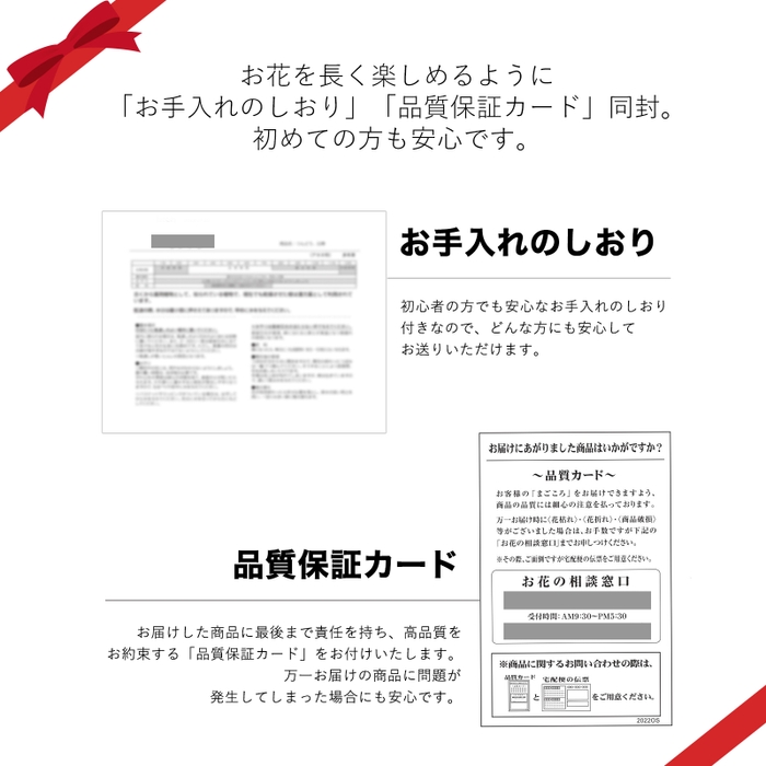 お手入れの栞と品質保証カード。初めての方も安心です。