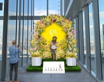 【ミモザのフォトスポット（１６階）イメージ】