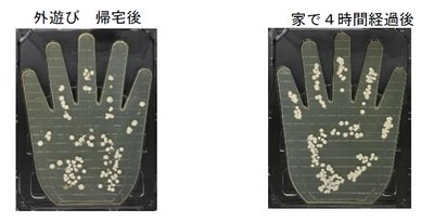 “家の中”で4時間過ごすだけで、 手の菌量は“屋外”で2時間遊んだ後に匹敵！ 自宅内で知らないうちに手に付着する菌の増殖を 石けん成分配合のハンドソープによる手洗いで抑制！