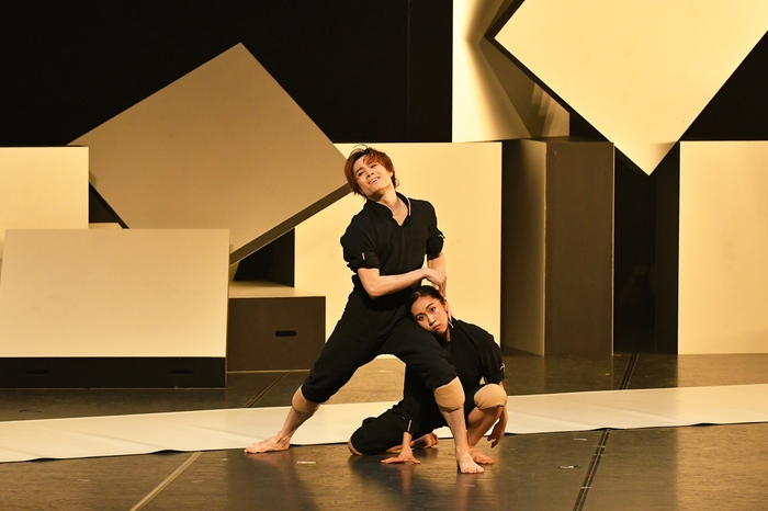 CACTI(カクタイ) 撮影:古都 栄二(テス大阪)