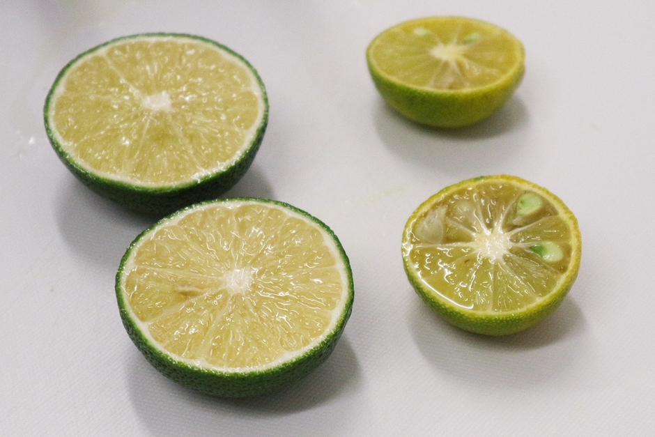 写真左:鈴木木酢園の木酢(原種)、写真右:他の地域の木酢