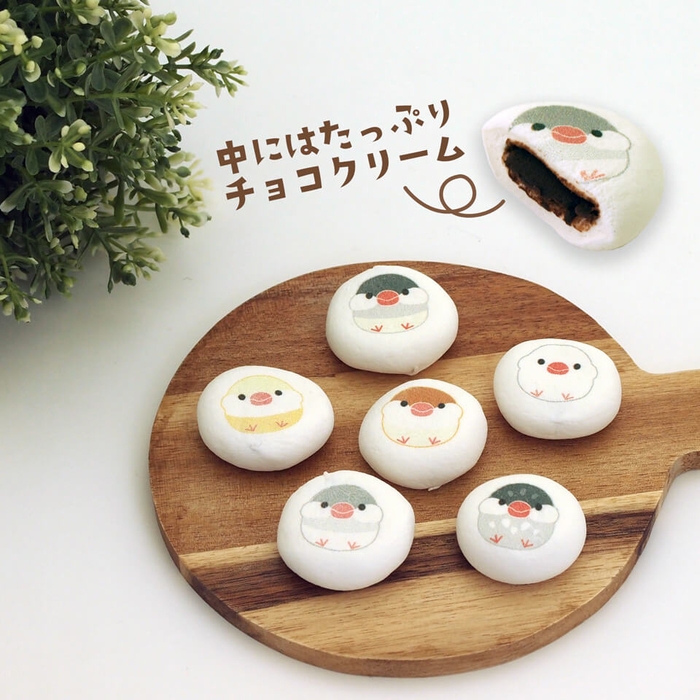 文鳥マシュマロ 6羽セット