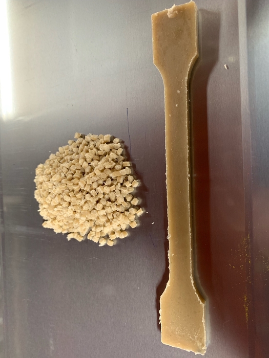 古紙を原料とした100%天然材料の生分解性プラスチックペレット(左)とそれを成形して作ったダンベル試験片(右)