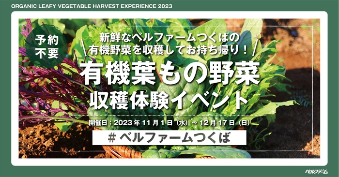 有機葉もの野菜収穫体験イベントイメージ画像①