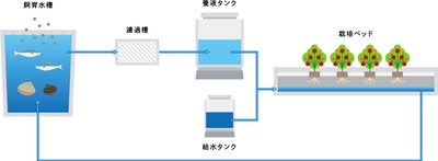 「アクアポニックス」の仕組み
