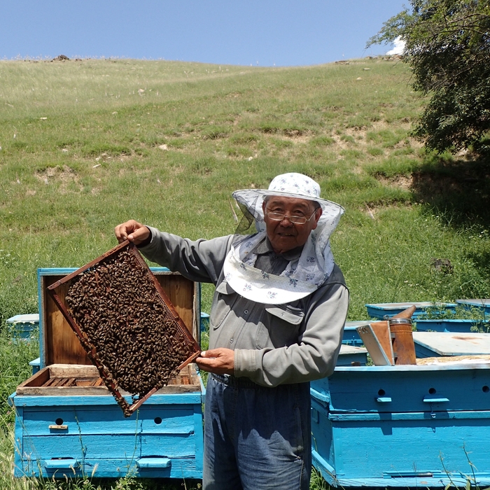 キルギスの養蜂家