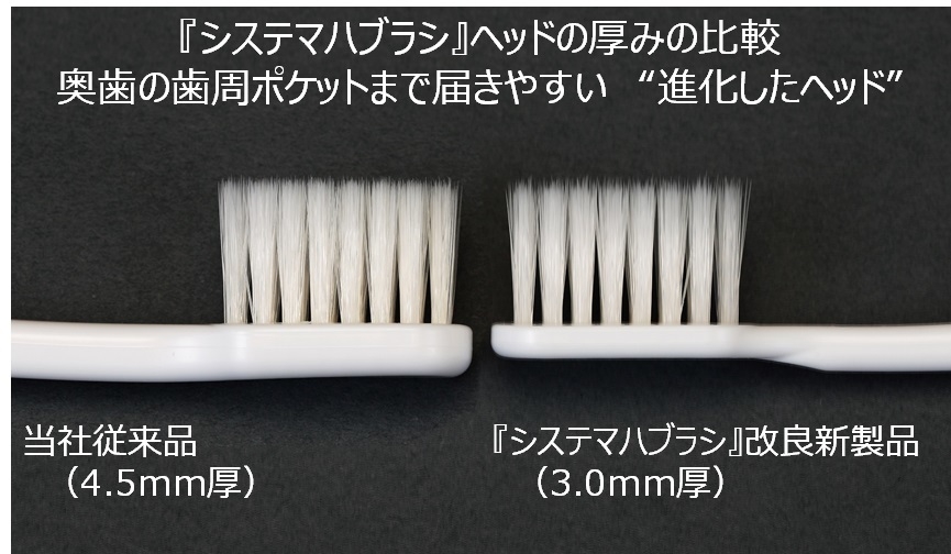 システマハブラシヘッドの厚みの比較