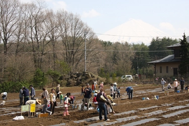 富士山の麓で高原野菜作りに挑戦してみませんか！ 富士緑の休暇村「貸し農園」のオーナー募集！ 〜JA鳴沢村共同企画・全100区画を募集致します〜