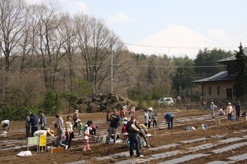 富士山の麓で週末ファーマー