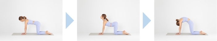 キャット&カウポーズ