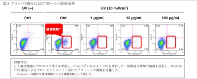 美肌効果の解明が進むアロエベラ液汁　紫外線ダメージから皮膚を守る効果を新発見