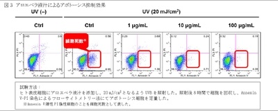図3 アロエベラ液汁によるアポトーシス抑制効果