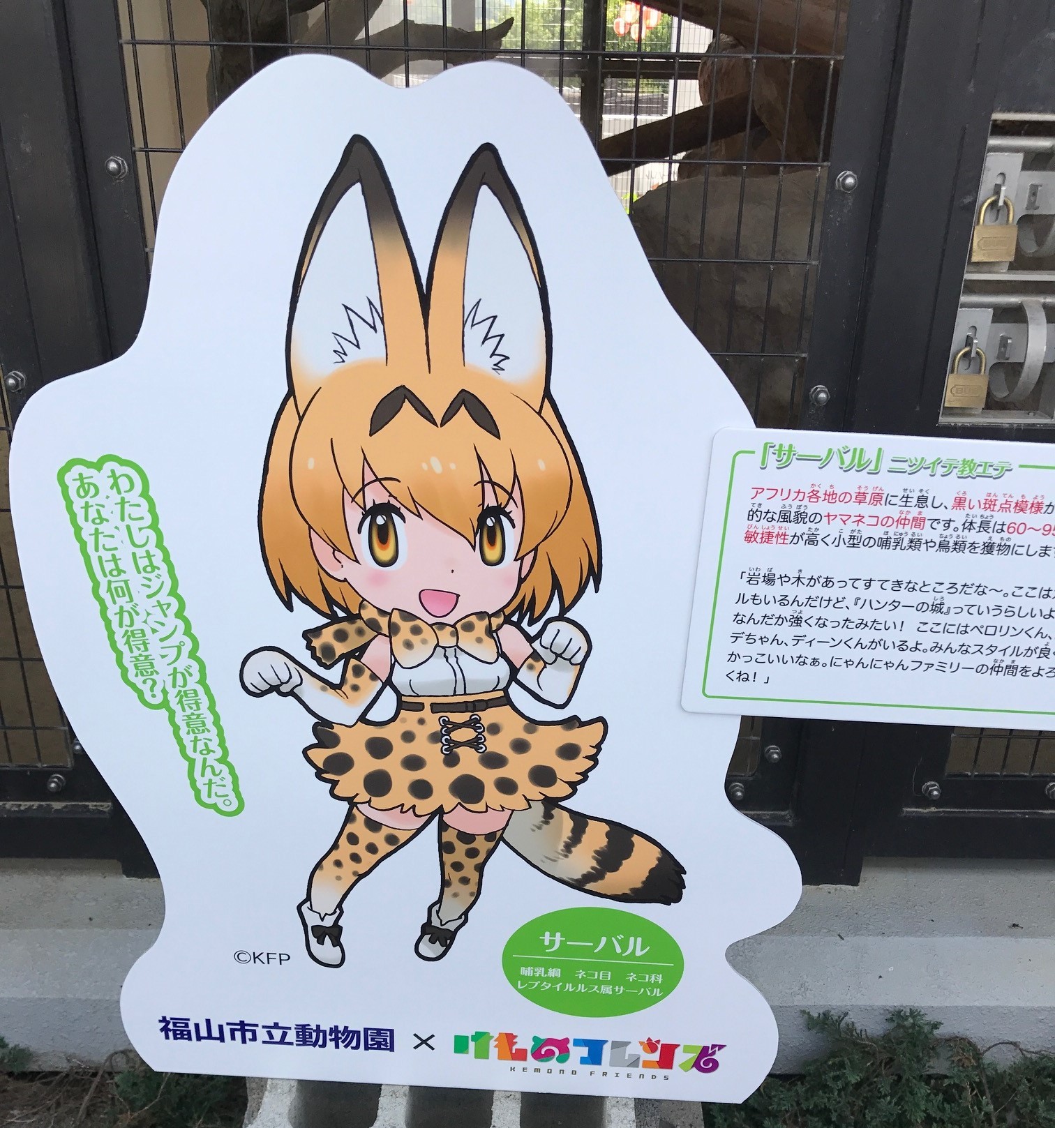 福山市立動物園に けものフレンズ がやってくる Newscast