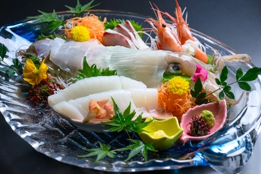 1人でイカ2杯を食べ比べ！旬のアオリイカ＆京丹後イカ漁火　 京丹後・海舟が秋限定の贅沢宿泊プランを販売開始