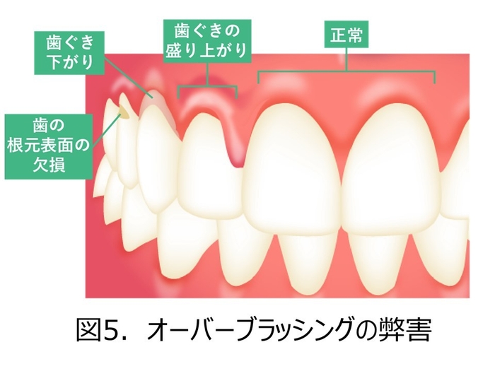 図5