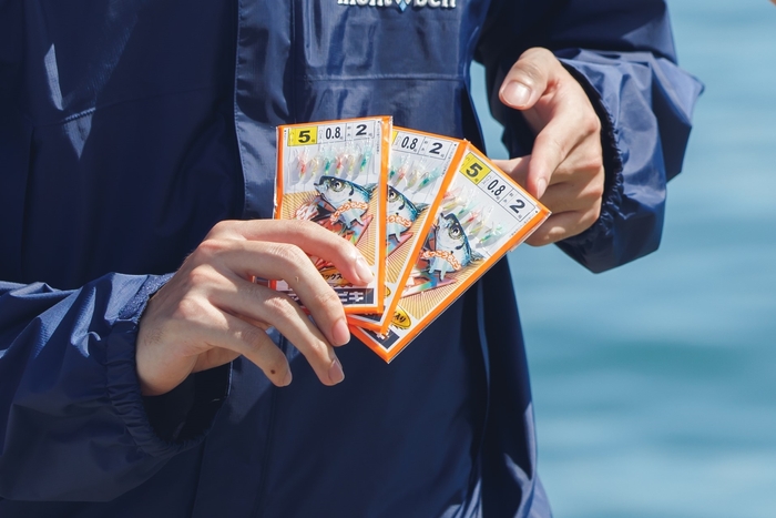 サビキ釣り仕掛け