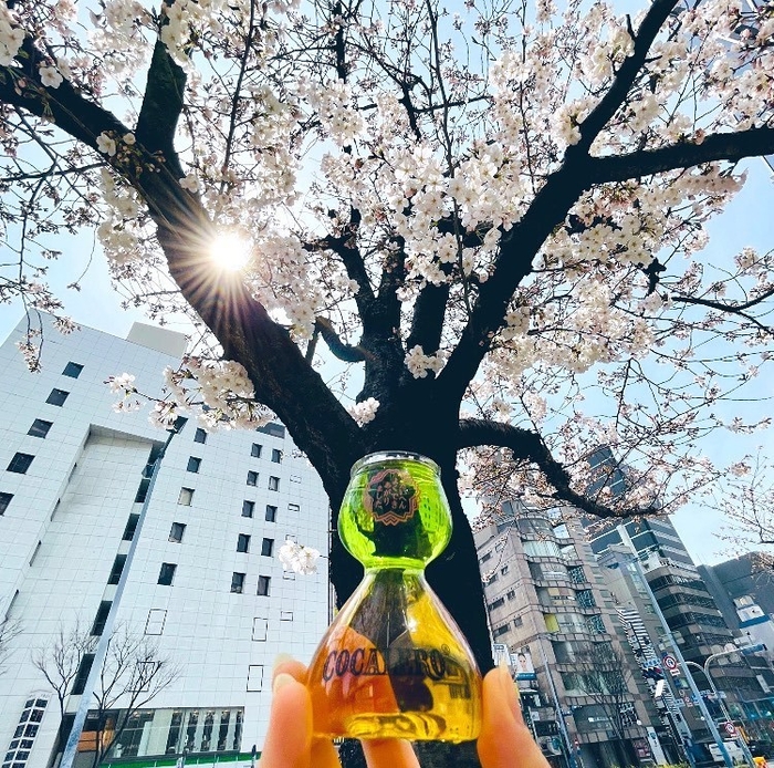 SPRING PLASTIC BOMB GLASS sakura