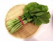 ～生徒がおもてなしをします～ 『大和野菜列車～味覚で感じる大和の伝統野菜～ツアー』を実施 　近鉄・奈良県立磯城野高等学校共同企画