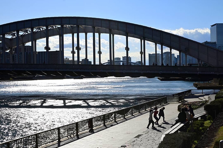 satogawa.9carp 撮影場所:勝鬨橋