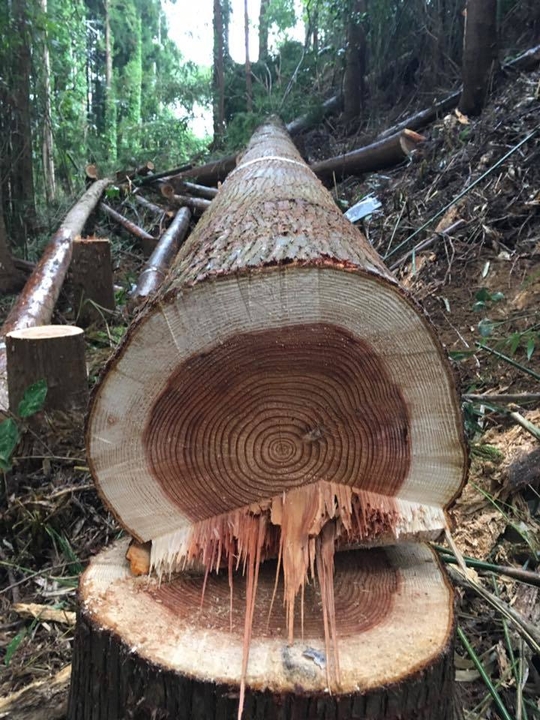 活動の様子(6月8～10日)2