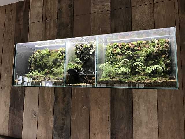 パルダリウムカフェ風景 3