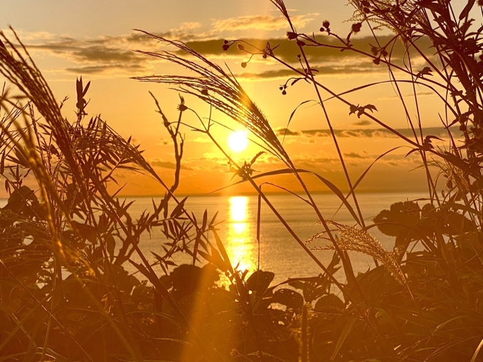 西伊豆海底熟成海域の夕陽1