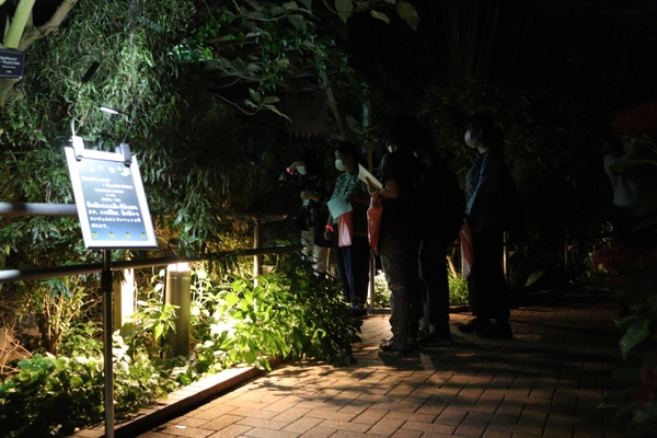 大温室 熱帯花木室(令和4年撮影)