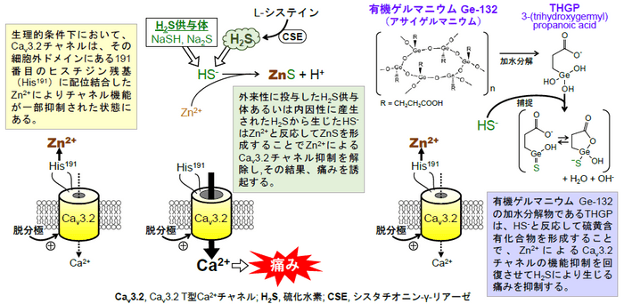 論文概要図