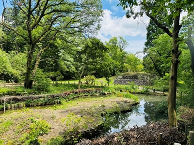 猿渡の池(平山城址公園)