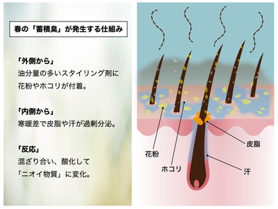 春の「蓄積臭が発生する仕組み」