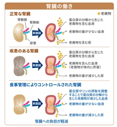 ペットの腎臓ケアのための特別療法食 「ヒルズ　プリスクリプション・ダイエットk/d シリーズ」が 全製品に新テクノロジーを採用しアップグレード